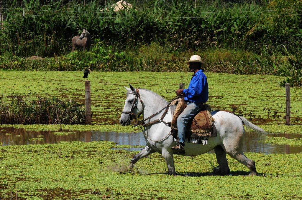 Pousada Rio Claro Poconé Eksteriør bilde